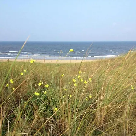 Near * Bergen aan Zee
